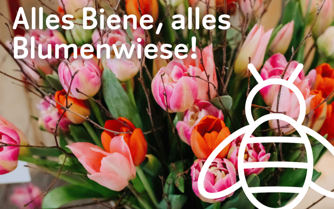 Alles Biene, alles Blumenwiese!