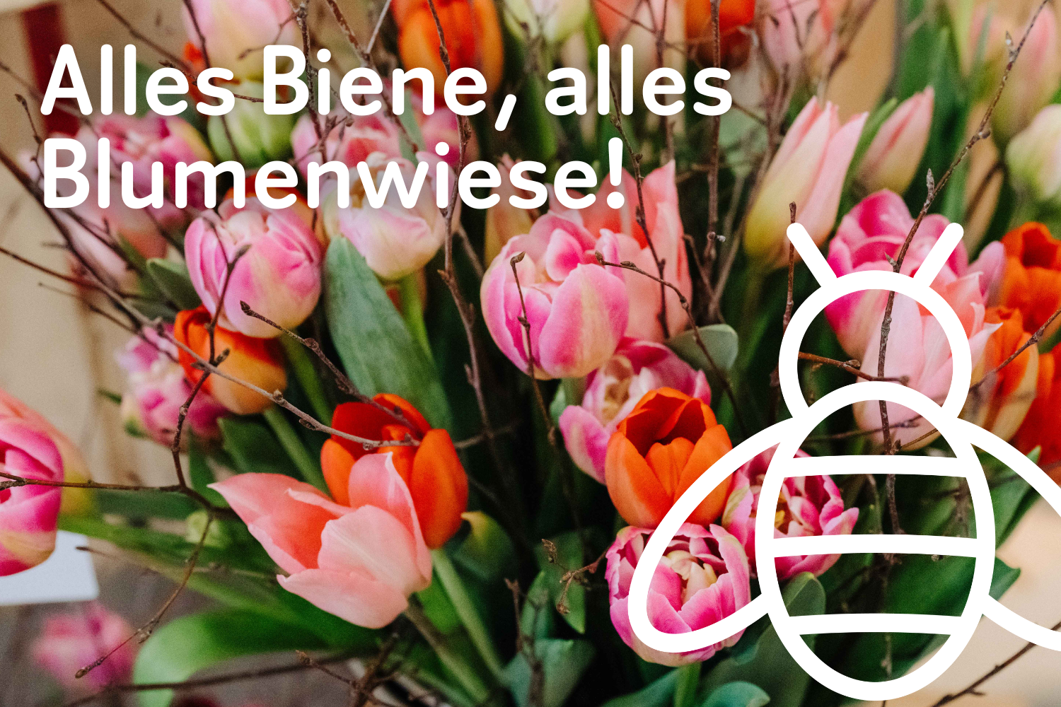 Alles Biene, alles Blumenwiese!