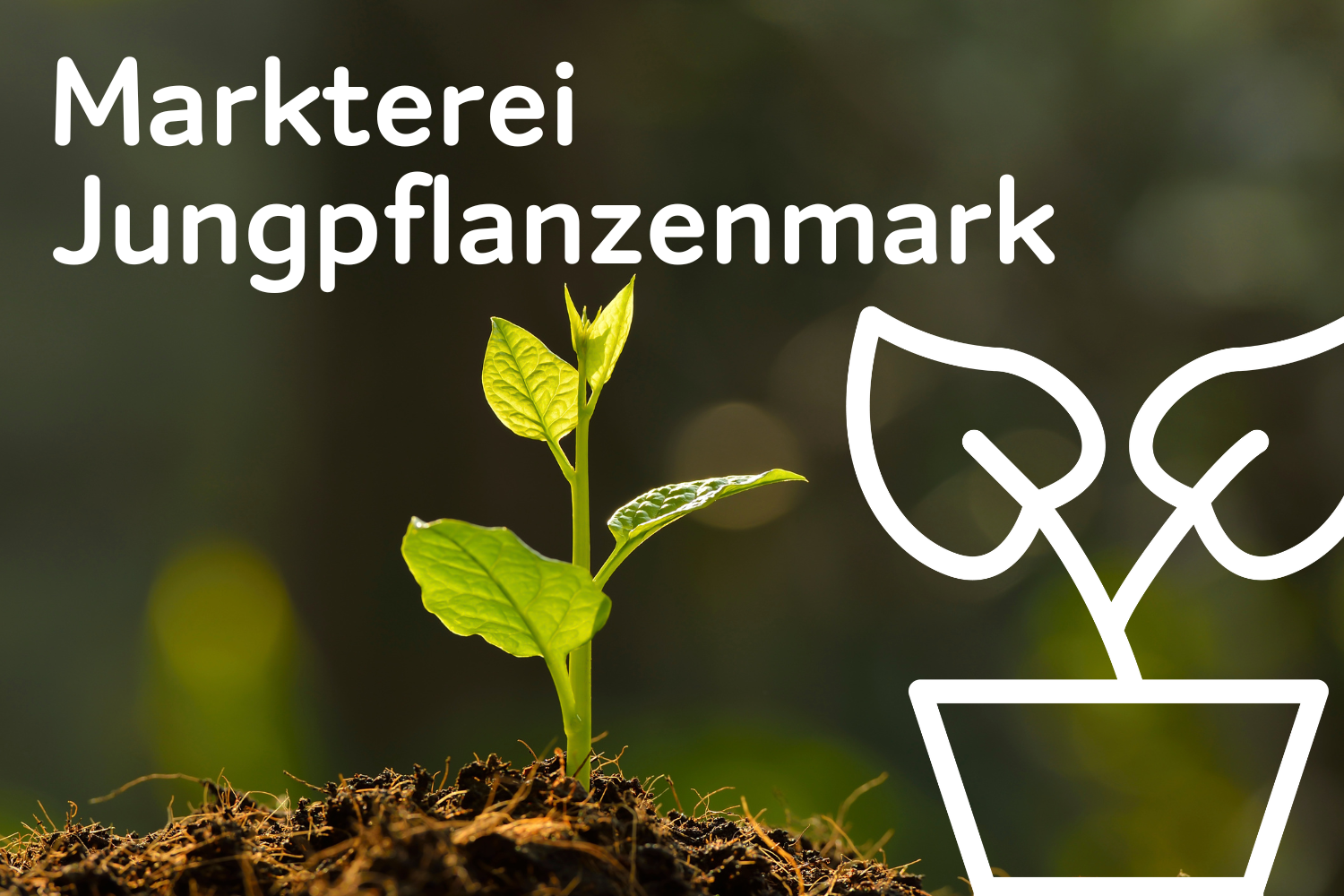 Markterei Jungpflanzenmarkt