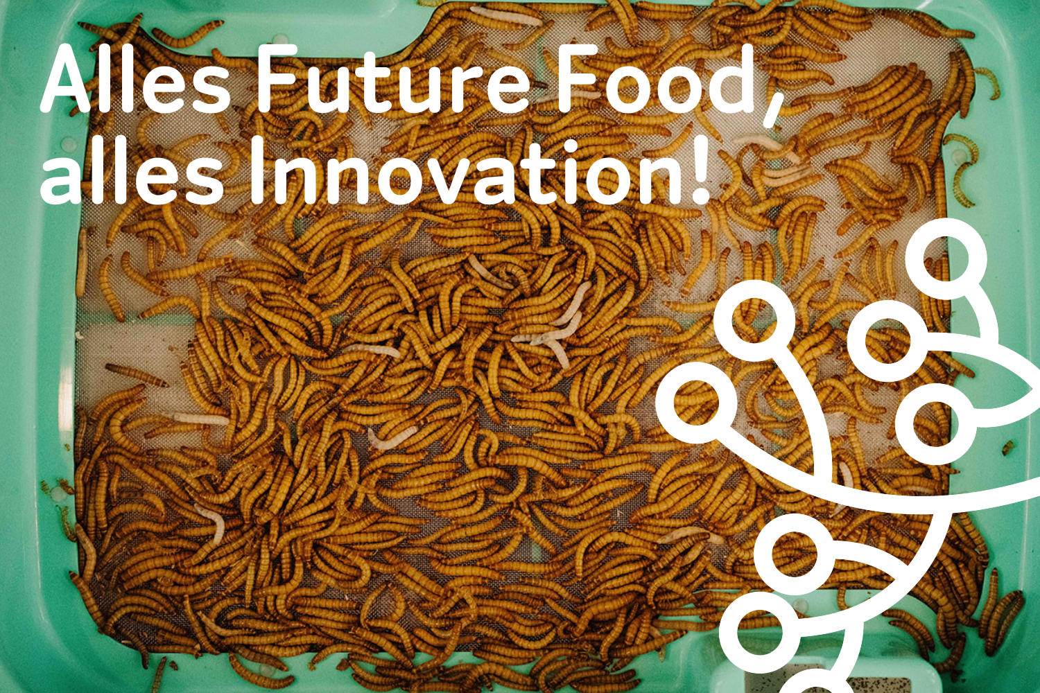 Alles Future Food, alles Innovation!