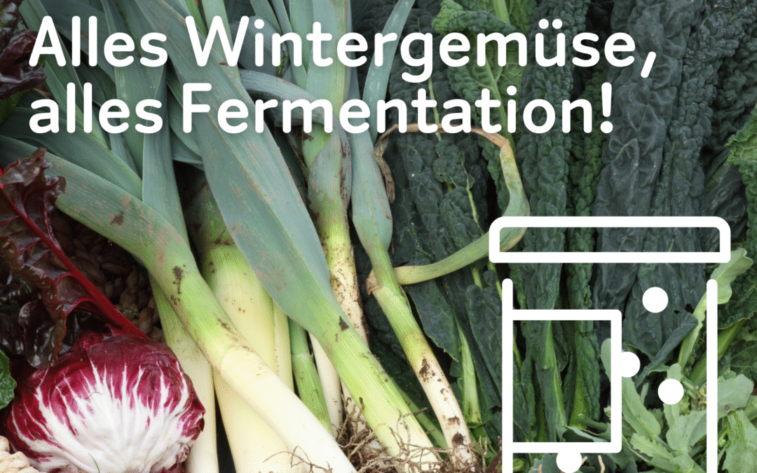 Alles Wintergemüse, alles Fermentation