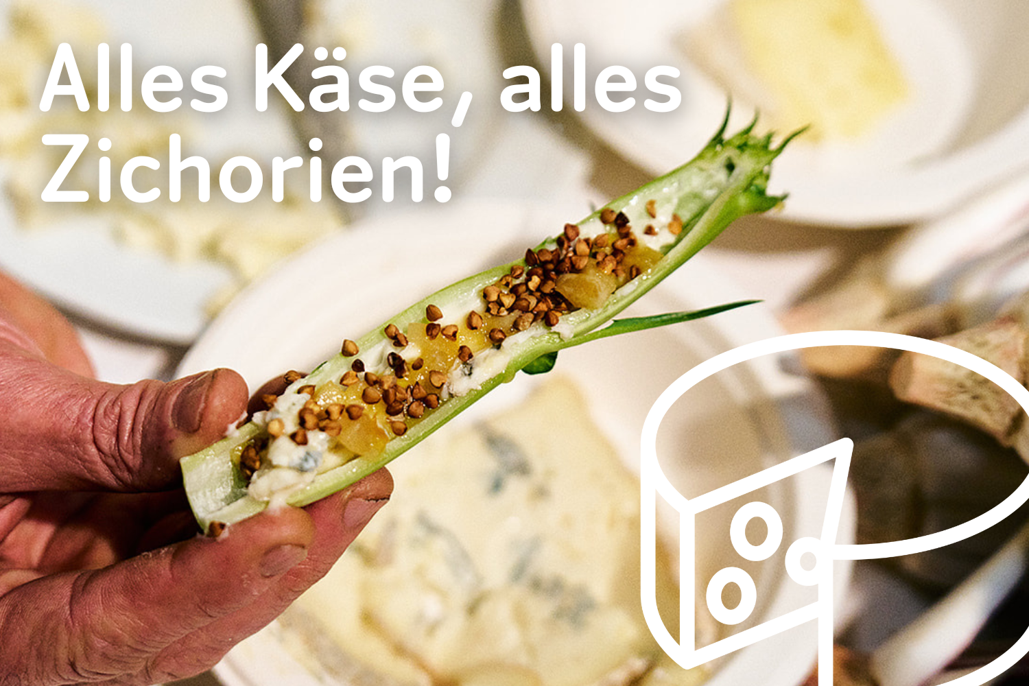 Alles Käse, alles Zichorien!
