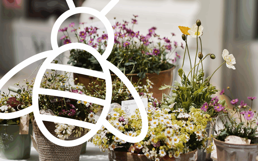 Alles Biene, alles Blumenwiese!