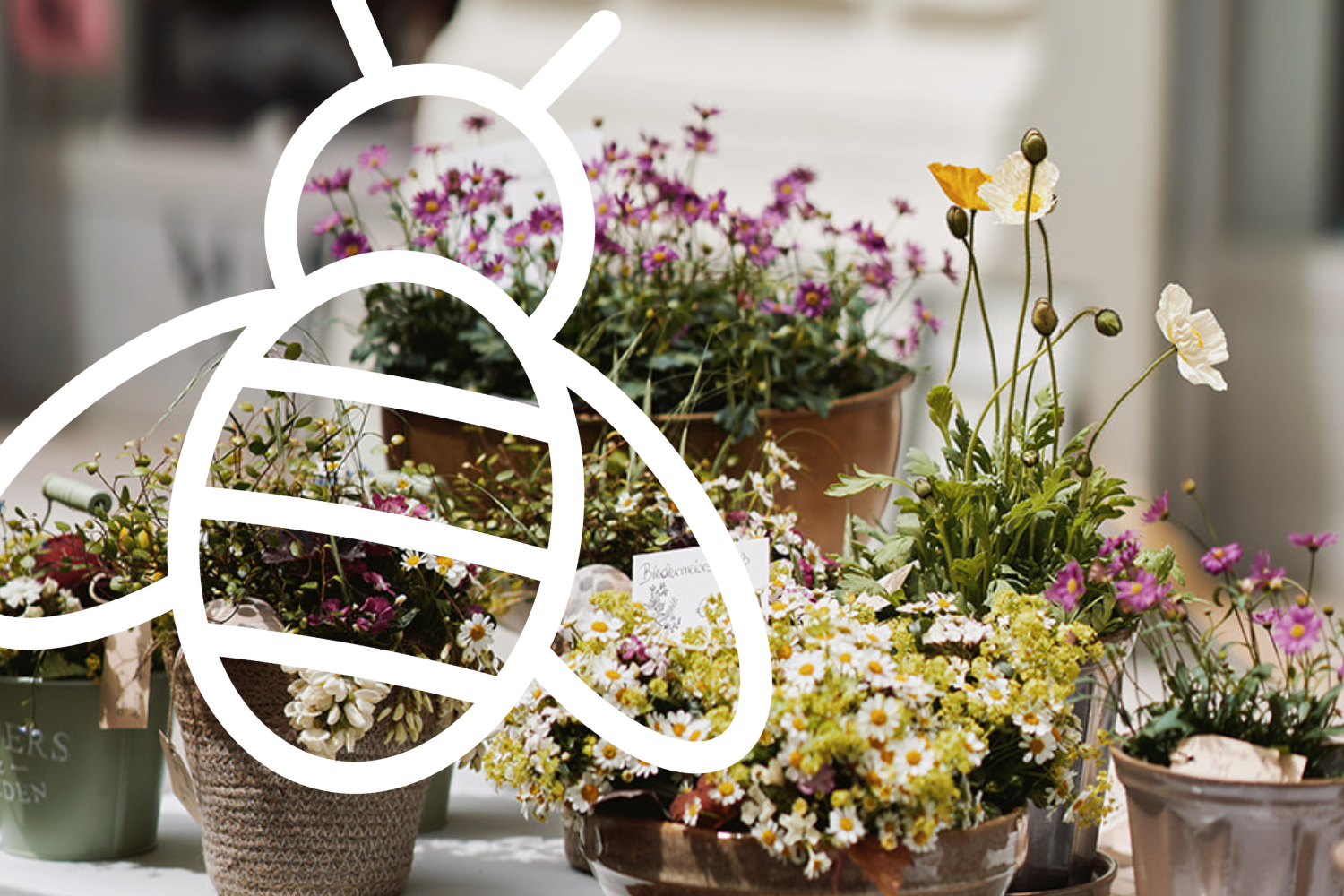 Alles Biene, alles Blumenwiese!