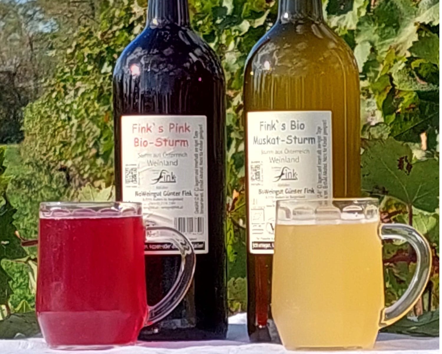 BioWeingut Günter Fink